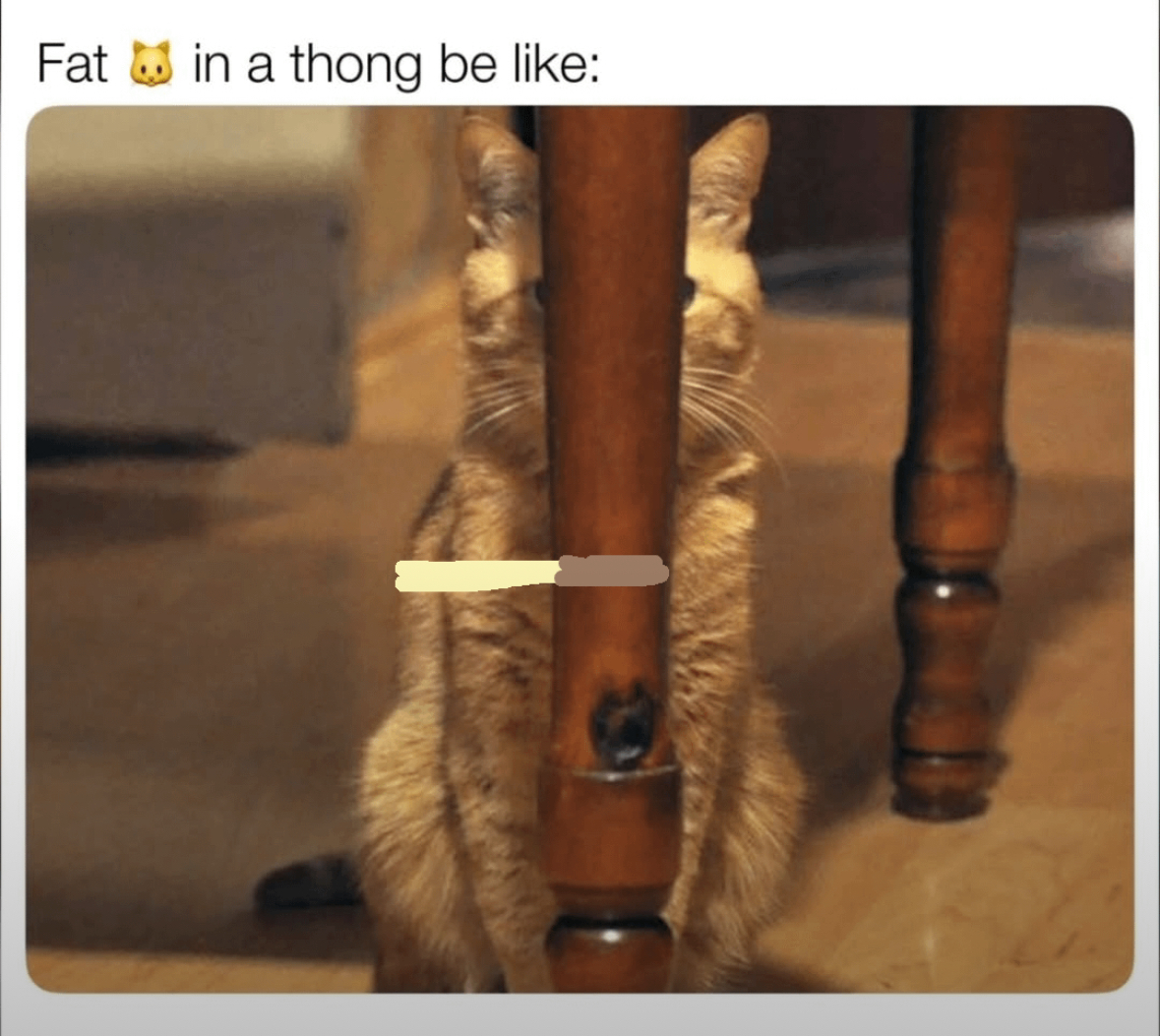 19 Spicy Facebook Memes from the Depths of Auntie Hell